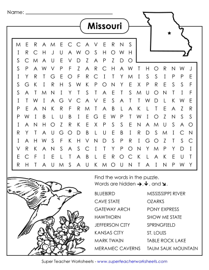 Puzzles - Word Search Puzzle