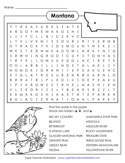 Puzzles - Word Search Puzzle