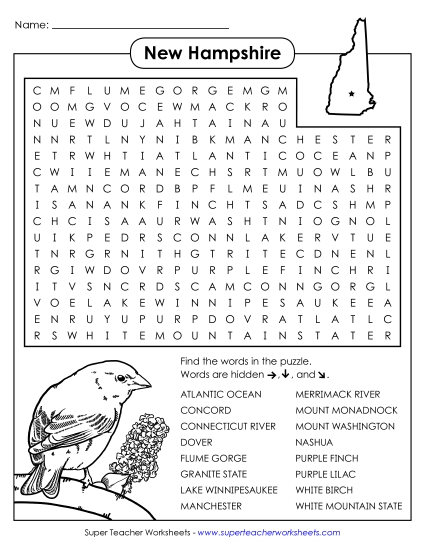 Puzzles - Word Search Puzzle