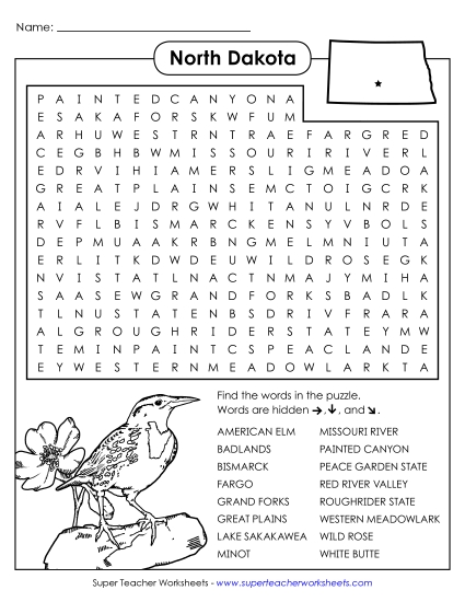 Puzzles - Word Search Puzzle