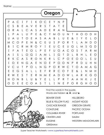 Puzzles - Word Search Puzzle
