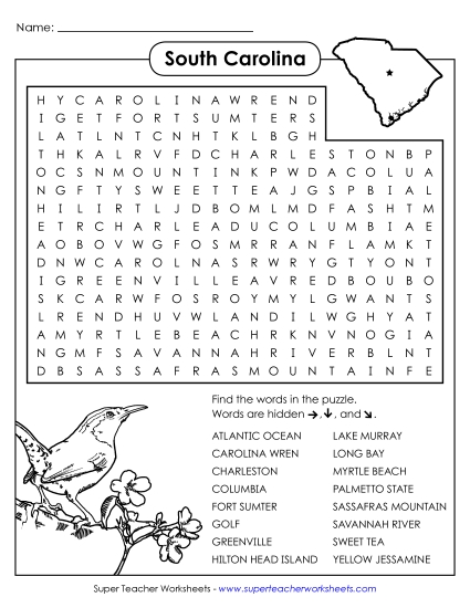 Puzzles - Word Search Puzzle
