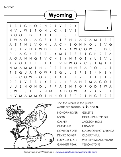 Puzzles - Word Search Puzzle