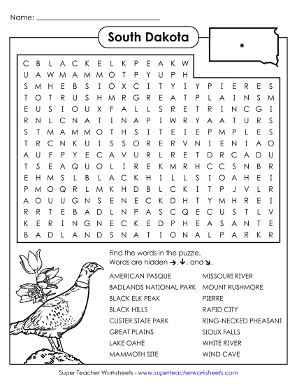 Puzzles - Word Search Puzzle