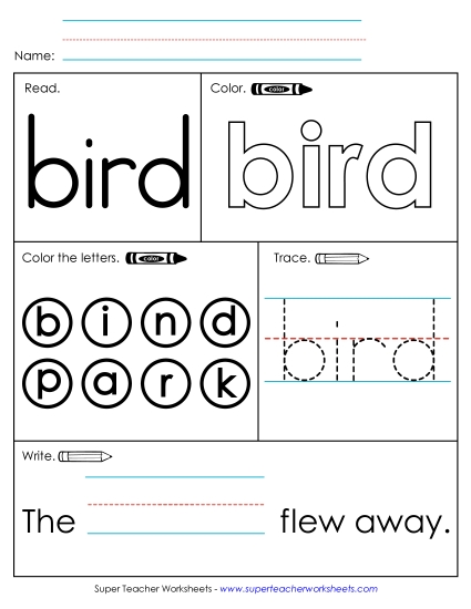 Worksheet 1: Bird