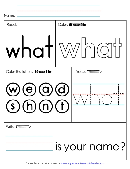 Worksheet 1: What