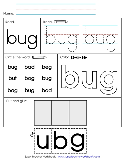 Worksheet 2: Bug