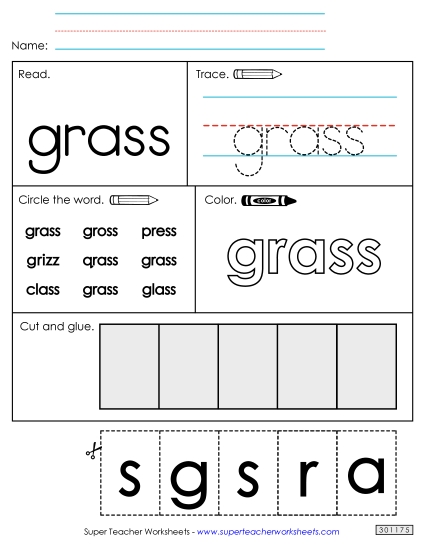 Worksheet 2: Grass Worksheet 2: Grass