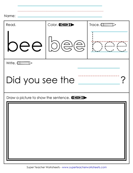 Worksheet 3: Bee