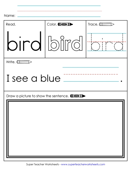 Worksheet 3: Bird