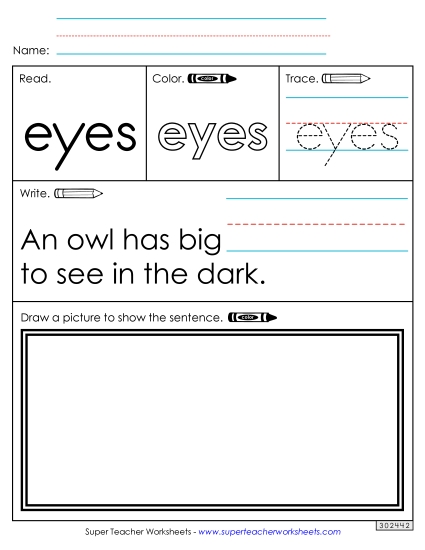 Worksheet 3: Eyes Worksheet 3: Eyes
