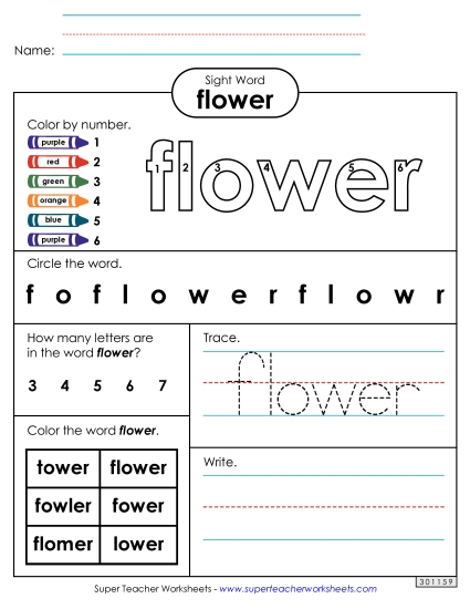 Worksheet 4: Flower