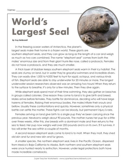 Nonfiction - World's Largest Seal  (Printable PDF Worksheet)
