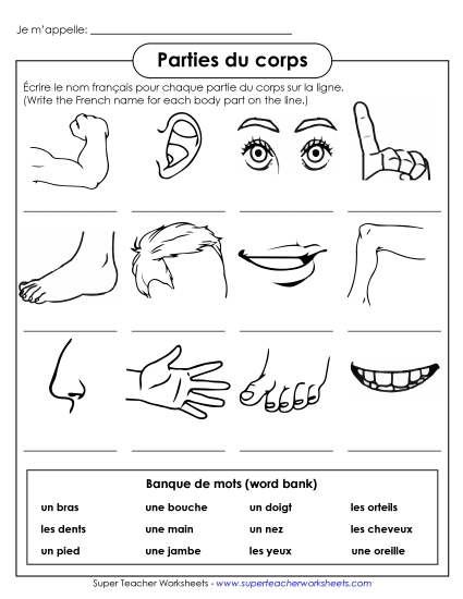 Body Parts (Parties du corps) - Write the Word: Body Parts Body Parts (Parties du corps) - Write the Word: Body Parts