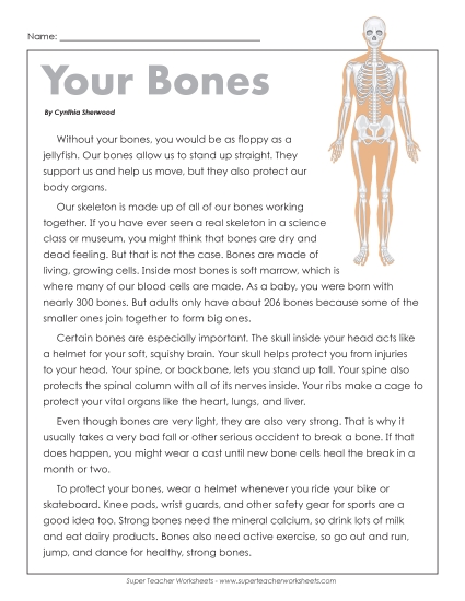 Human Body Articles - Your Bones Human Body Articles - Your Bones
