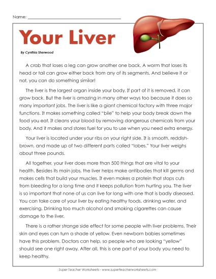 Human Body Articles - Your Liver Human Body Articles - Your Liver