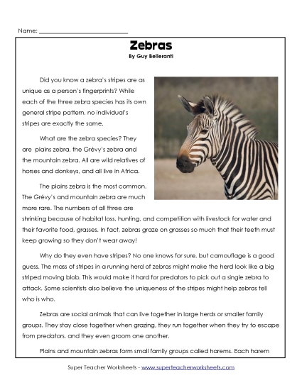 Mammals - Zebras Mammals - Zebras