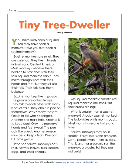 New Tiny Tree-Dweller Worksheet