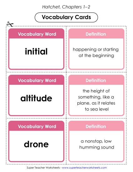 New Vocabulary Cards: Chapters 1–2 Worksheet