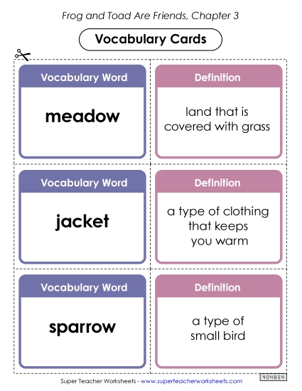Vocabulary Cards for Chapter 3 Book Frog And Toad Worksheet
