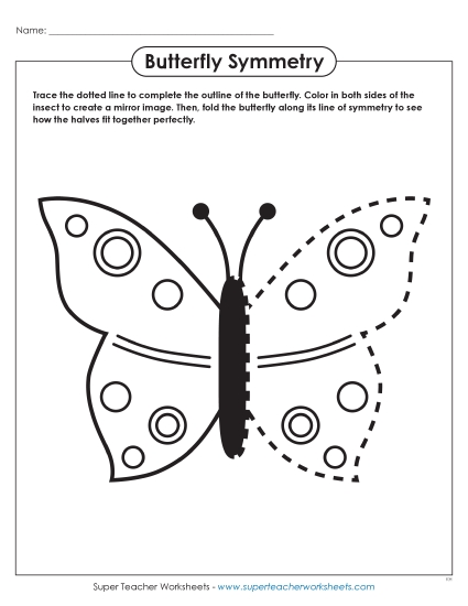 Preview image for Butterfly Symmetry