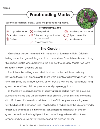 New Proofreading: The Garden Worksheet New Proofreading: The Garden Worksheet