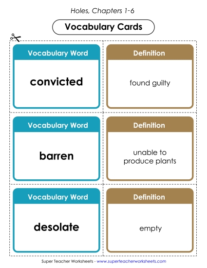 Vocabulary Cards for Chapters 1-6 Book Holes Worksheet