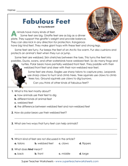 Preview image for Fabulous Feet (Short Article)