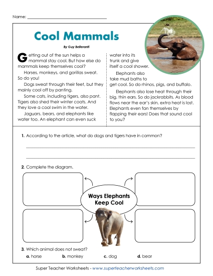 Cool Mammals