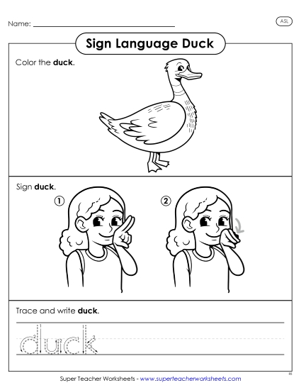 New Duck Worksheet