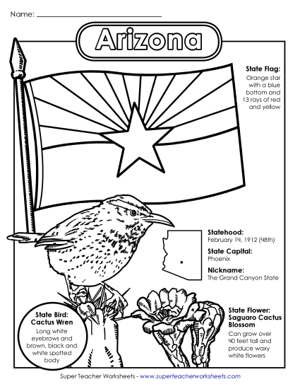 Arizona State Symbols Coloring Page States Individual Worksheet