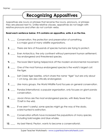 Identifying Sentences with Appositives Worksheet
