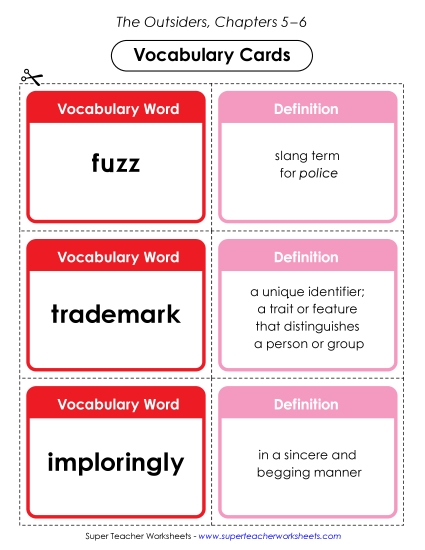 New Vocabulary Cards (Chapters 5–6) Worksheet