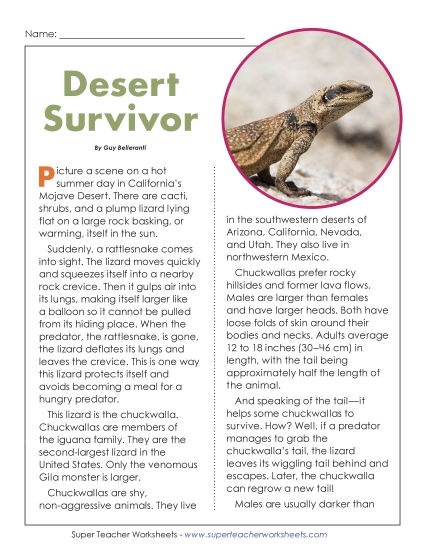 New Desert Survivor (Chuckwalla) Worksheet