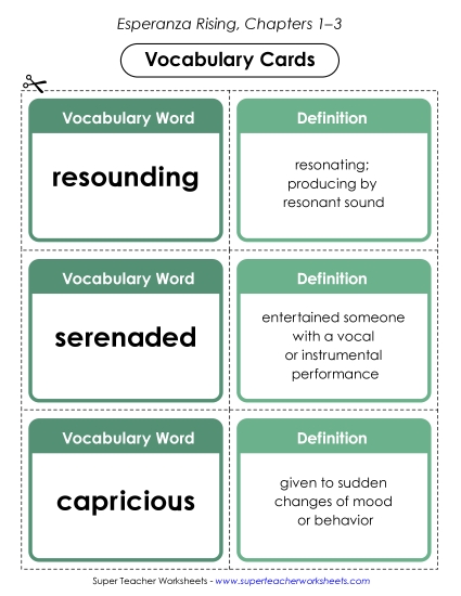 New Chapters 1–3 Vocabulary Cards Worksheet