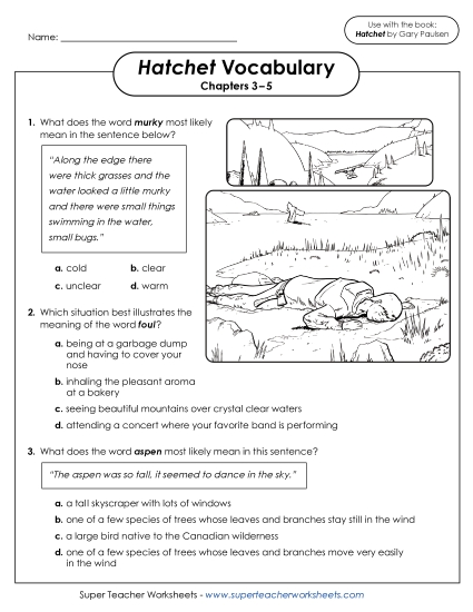 New Vocabulary Questions (Chapters 3–5) Worksheet