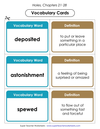 Vocab. Cards for Chapters 21-28 Book Holes Worksheet
