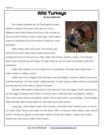 Preview image for Wild Turkeys