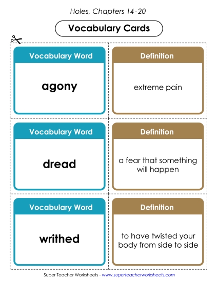 Vocab. Cards for Chapters 14-20 Book Holes Worksheet