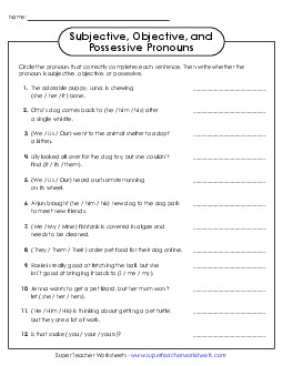 New Subjective, Objective, and Possessive Pronouns Worksheet