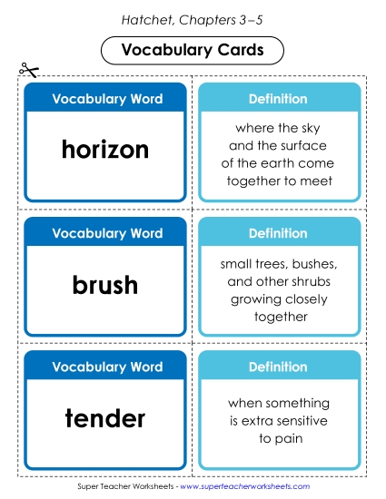 New Vocabulary Cards (Chapters 3–5) Worksheet
