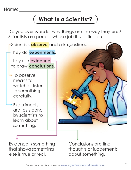 New What Is a Scientist? Anchor Chart Worksheet