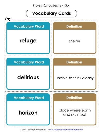 Vocab. Cards for Chapters 29-35 Book Holes Worksheet