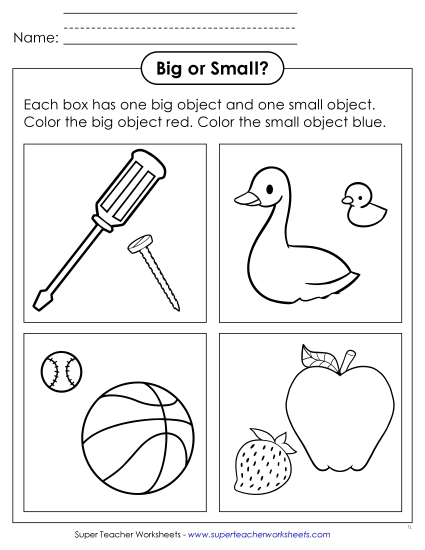 New Big or Small? Worksheet
