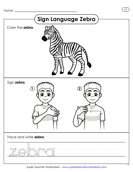 New Zebra Worksheet
