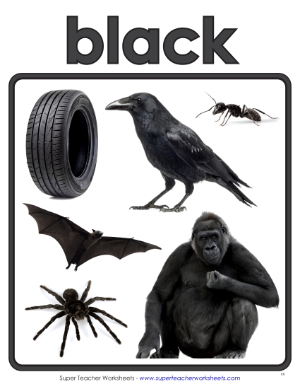 Preview image for Photo Anchor Chart (Black)