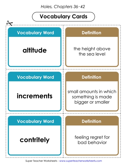Vocab. Cards for Chapters 36-42 Book Holes Worksheet