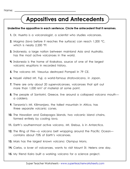 Appositives and Antecedents Worksheet