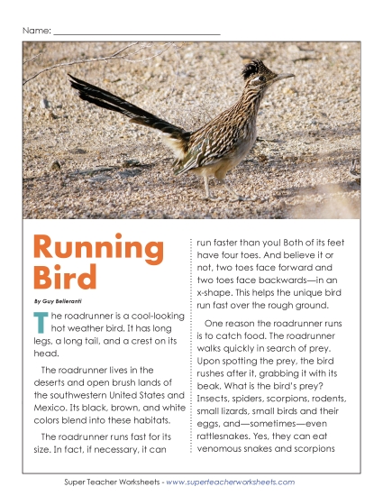 New Roadrunners Worksheet New Roadrunners Worksheet