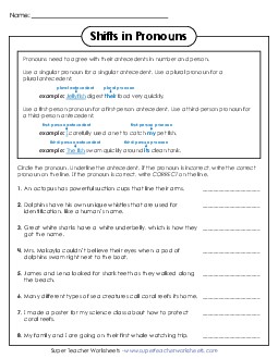New Pronoun-Antecedent Agreement: Identifying Shifts Worksheet
